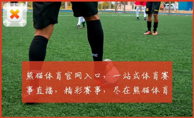 熊猫体育官网入口，一站式体育赛事直播，精彩赛事，尽在熊猫体育，3大平台，一网打尽