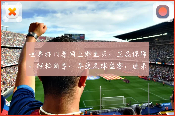 世界杯门票网上哪里买，正品保障，轻松购票，享受足球盛宴，速来抢购
