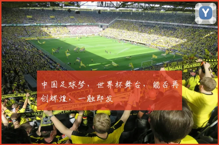 中国足球梦，世界杯舞台，能否再创辉煌，一触即发