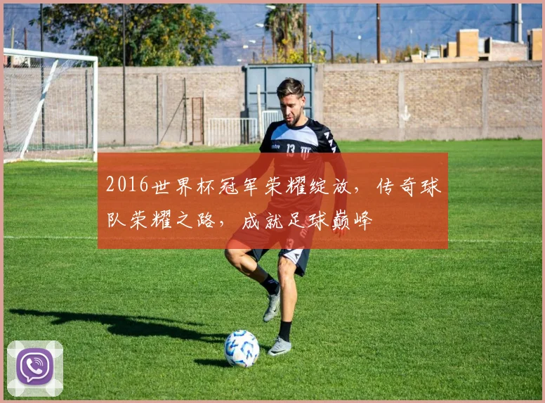 2016世界杯冠军荣耀绽放，传奇球队荣耀之路，成就足球巅峰