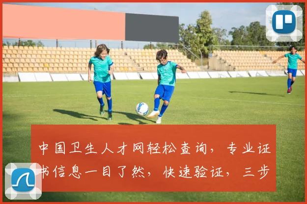 中国卫生人才网轻松查询，专业证书信息一目了然，快速验证，三步搞定