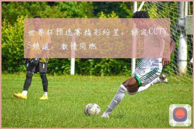 世界杯预选赛精彩纷呈，锁定CCTV5频道，激情同燃